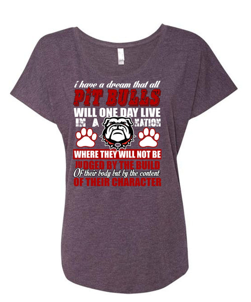 I Have A Dream That All Pit Bulls T Shirt, My Favorite T Shirt, Cool Shirt (Ladies' Triblend Dolman Sleeve)