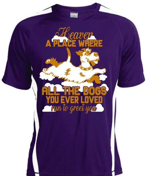 Heaven A Place Where All The Dogs T Shirt, Run To Greet You T Shirt, Cool Shirt
