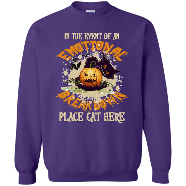 Place Cat Here T Shirt, Coolest Cat Ever Sweatshirt