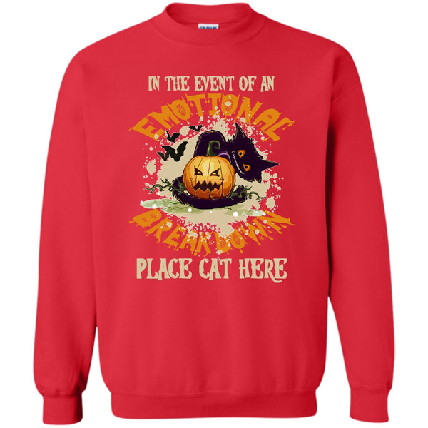 Place Cat Here T Shirt, Coolest Cat Ever Sweatshirt