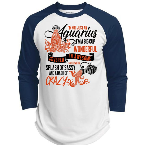 I'm Not Just An Aquarius T Shirt, I Love Aquarius T Shirt, Awesome T-Shirts  (Polyester Game Baseball Jersey)
