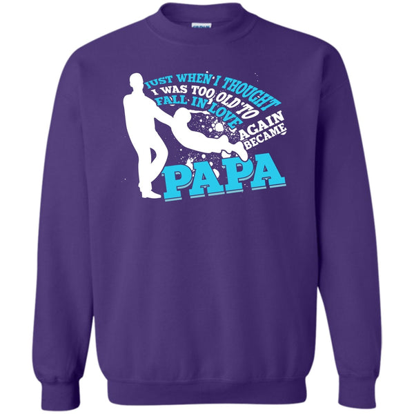 Became Papa T Shirt, Coolest Papa Eve Sweatshirt
