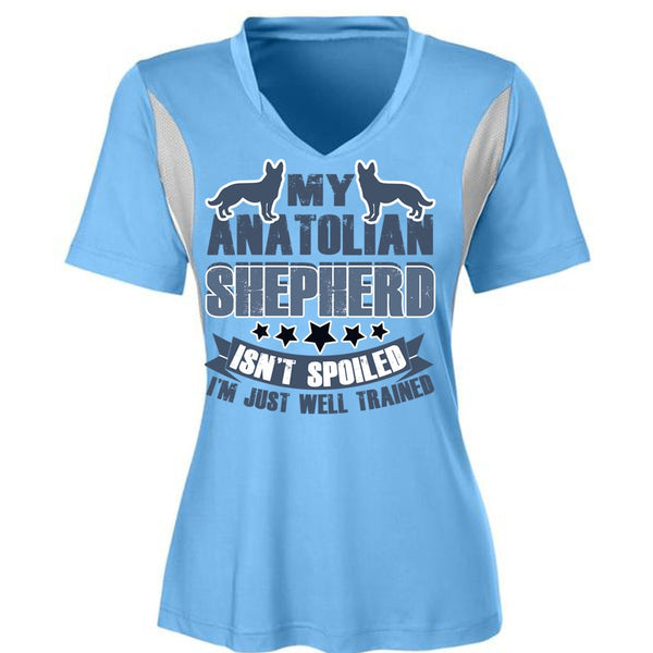 My Anatolian Shepherd Isn't Spoiled T Shirt, I Love My Dog T Shirt, Awesome T-Shirts