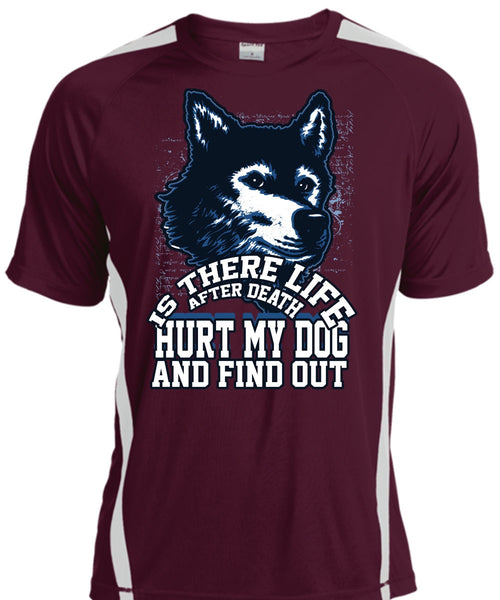 Hurt My Dog T Shirt, My Favorite T Shirt, Cool Shirt