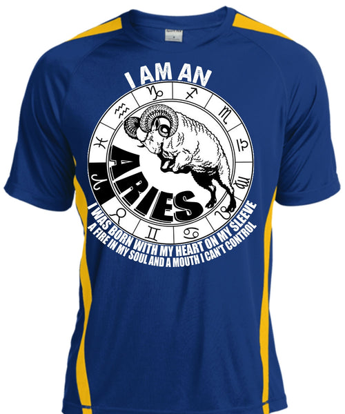 I Am An Aries T Shirt, Fire In My Soul T Shirt, Cool Shirt