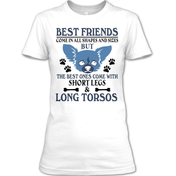 Best Friends Come In All Shapes And Size T Shirt, Coolest Dog T Shirt