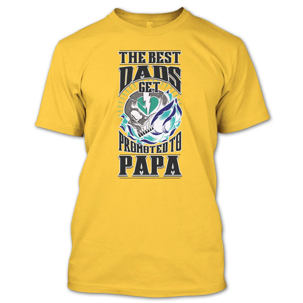 The Best Dad T Shirt, Coolest Papa Ever T Shirt