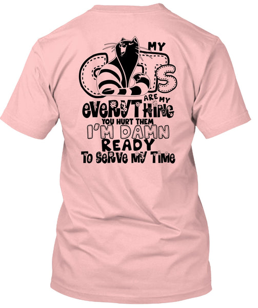 My Cats Are My Everything T Shirt, I Love My Cat T Shirt