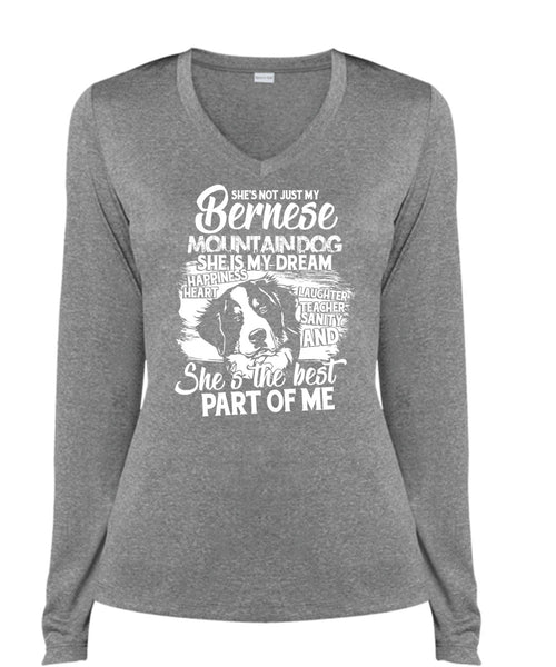 My Bernese Mountain Dog T Shirt, She Is My Dream T Shirt, Cool Shirt (Ladies LS Heather V-Neck)
