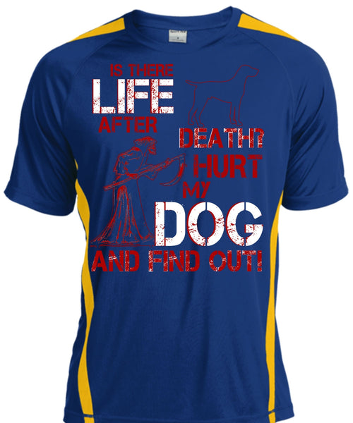 Hurt My Dog And Find Out T Shirt, Is There After Death T Shirt, Cool Shirt
