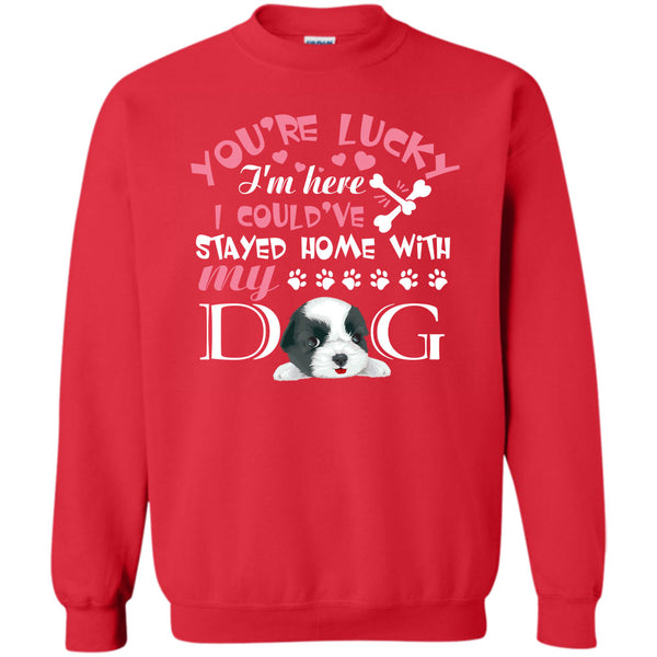 I Could've Stayed Home With My Dog T Shirt, I'm A Dog Lover Sweatshirt