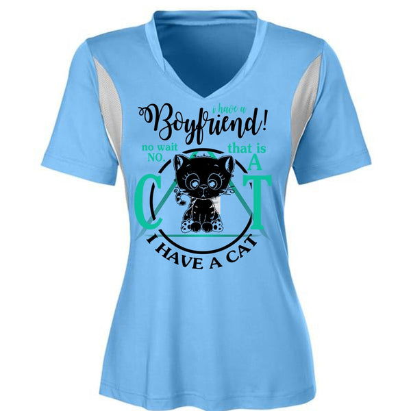 I Have A Boyfriend T Shirt, I Love My Cat T Shirt, Awesome T-Shirts