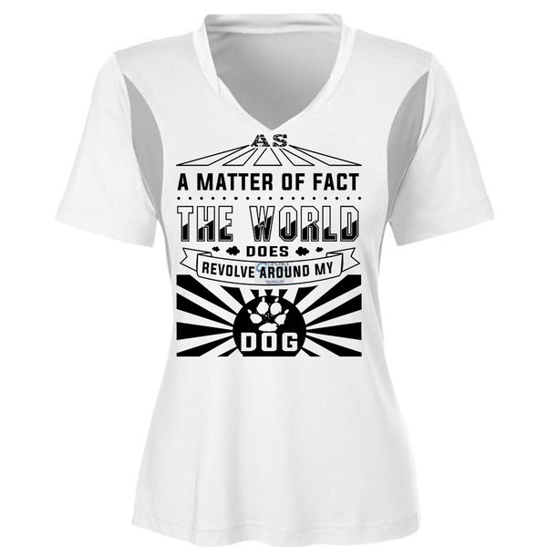 A Matter Of Fact The World Does Revolve Around My Dog T Shirt, Loving T Shirt