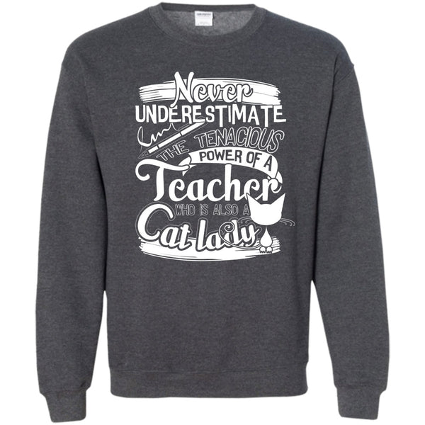 Power Of A Teacher T Shirt, Who Is Also A Cat Lady Sweatshirt