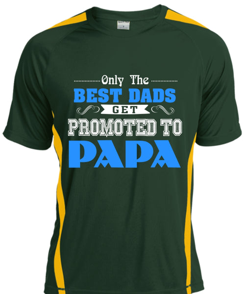Only The Best Dads Get Promoted To Papa T Shirt, Being A Papa T Shirt, Father's Day T Shirt