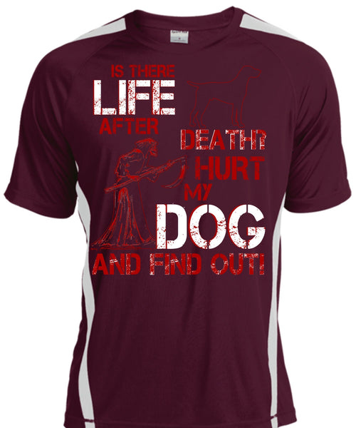 Hurt My Dog And Find Out T Shirt, Is There After Death T Shirt, Cool Shirt