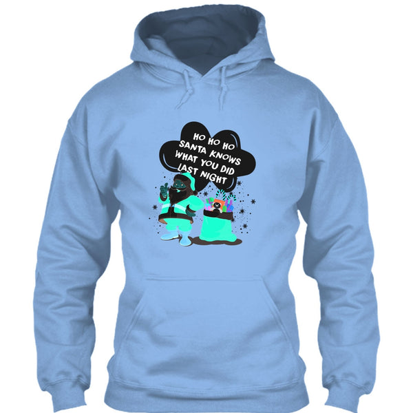 Santa Knows What You Did Last Night T Shirt, Merry Christmas T Shirt