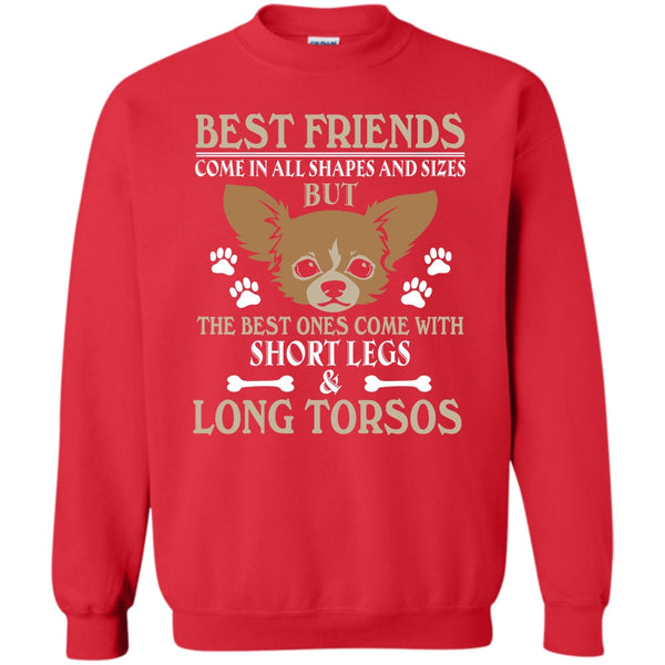 The Best One Come With Short Legs & Long Torsos T Shirt, Coolest Dog Sweatshirt