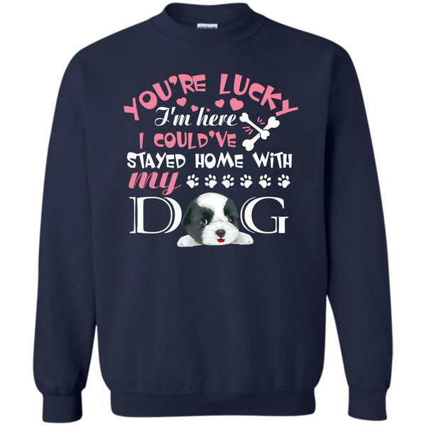 I Could've Stayed Home With My Dog T Shirt, I'm A Dog Lover Sweatshirt