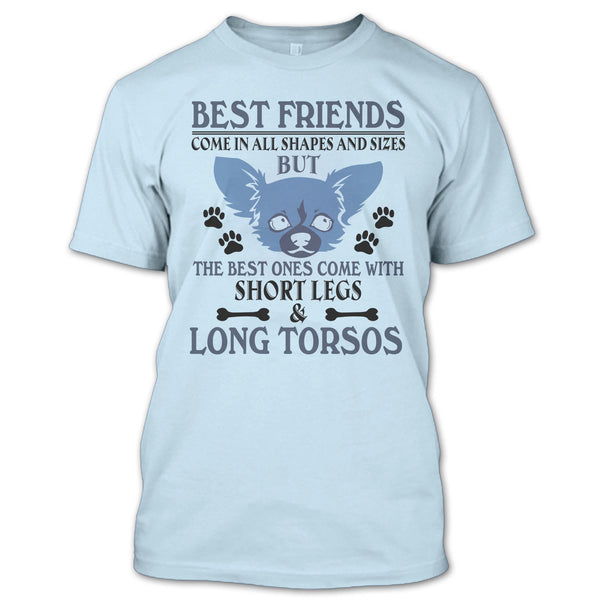 Best Friends Come In All Shapes And Size T Shirt, Coolest Dog T Shirt