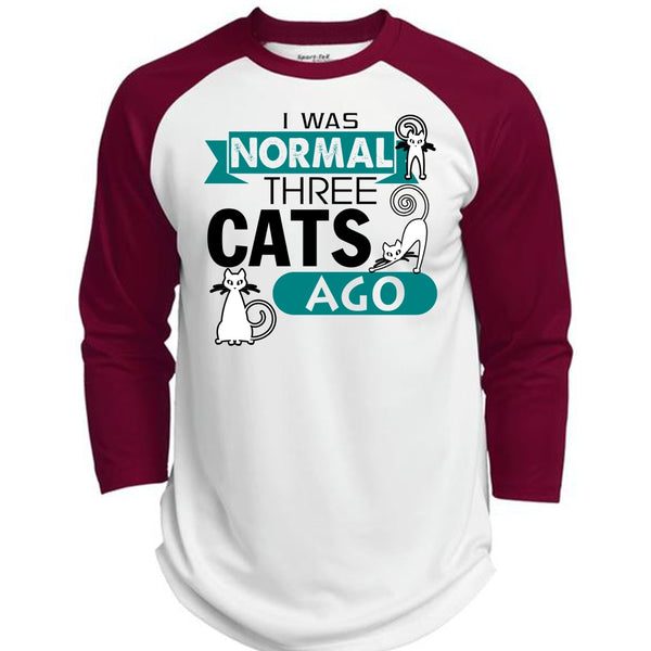 I Was Normal Three Cats AGo T Shirt, I Love Cat T Shirt, Cool Pets T Shirt  (Polyester Game Baseball Jersey)