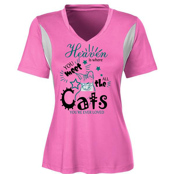 Heaven Is Where You Meet All The Cats T Shirt, I Love My Cat T Shirt, Awesome T-Shirts