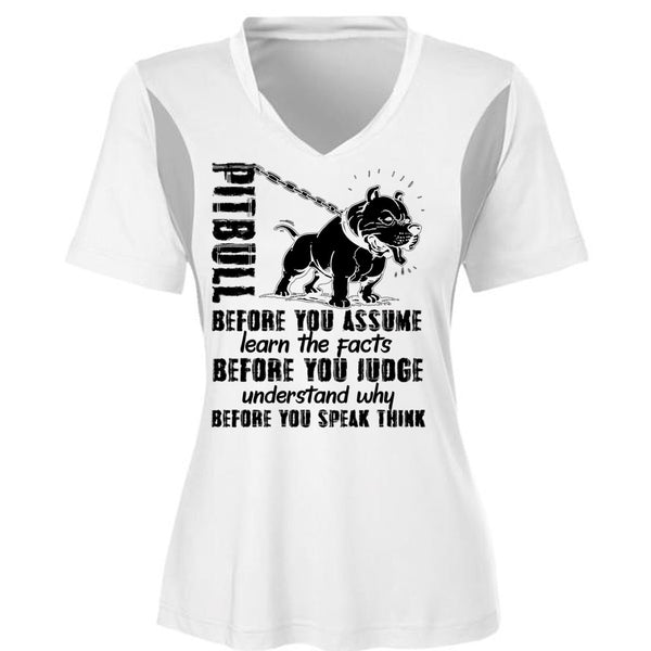 Pit Bull Before You Assume T Shirt, I Love Pit Bull T Shirt, Awesome T-Shirts