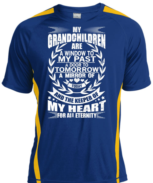 My Grandchildren Are A Window T Shirt, Door To Tomorrow T Shirt, Cool Shirt