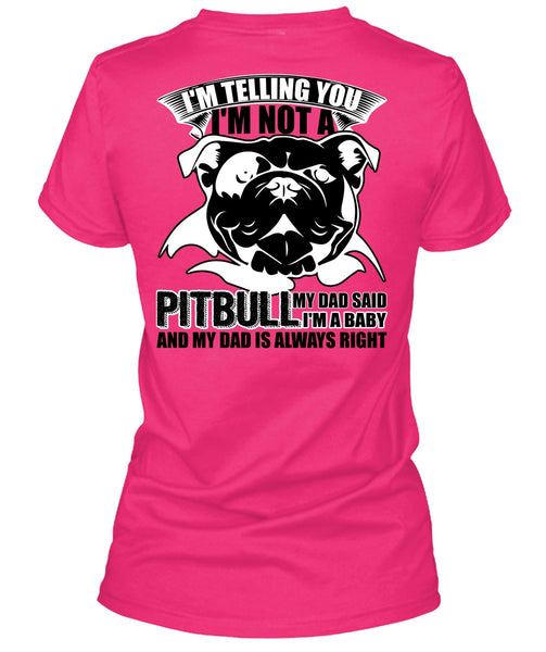 I'm Not A Pit Bull T Shirt, My Favorite T Shirt, Cool Shirt (Ladies LS Heather V-Neck)