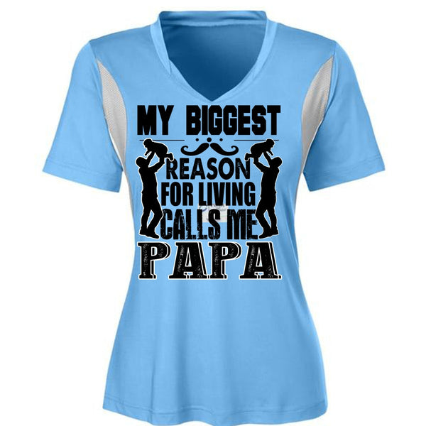My Biggest Reason T Shirt, I Love Papa T Shirt, Awesome T-Shirts