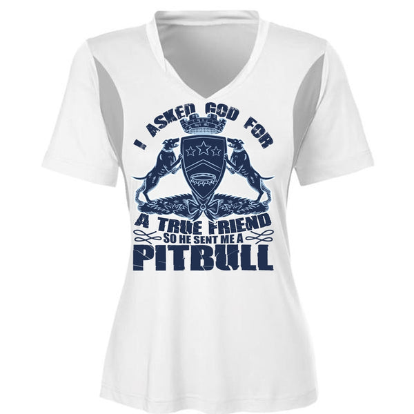 He Sent Me A Pit Bull T Shirt, God For A True Friend T Shirt, Cool Shirt (Ladies LS Heather V-Neck)