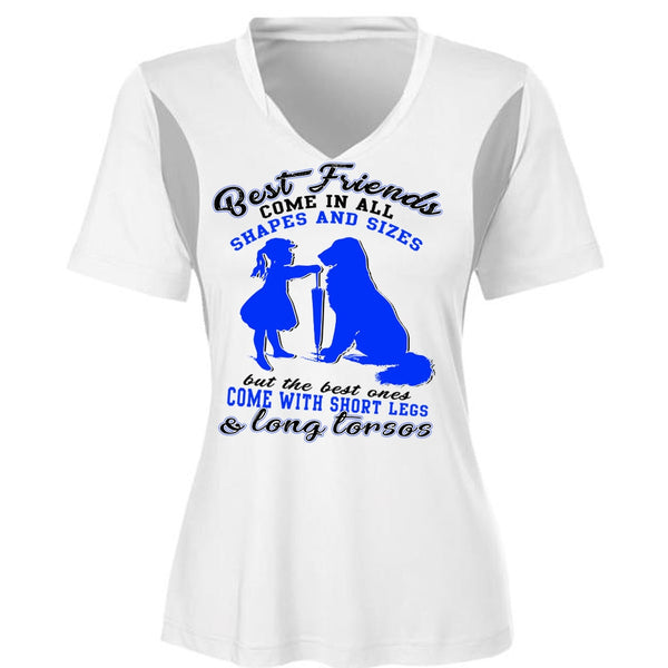Best Friends Come In All Shapes T Shirt, I Love My Dog T Shirt, Awesome T-Shirts