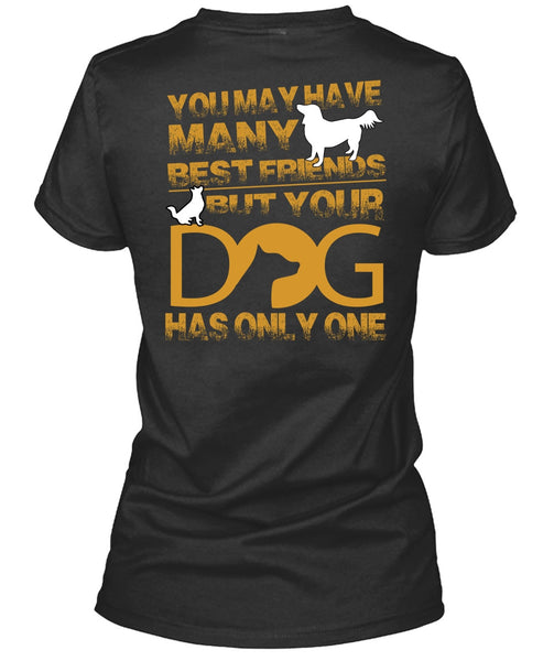 Your Dog Has Only One T Shirt, You May Have Many Best Friend T Shirt