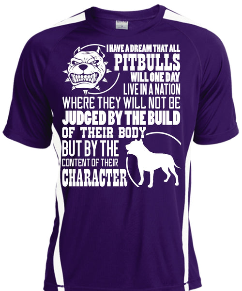 I Have A Dream That All Pit Bulls T Shirt, Judge By The Build T Shirt, Cool Shirt