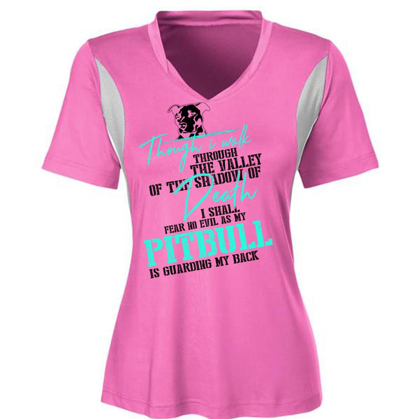 My Pit Bull Is Guarding My Back T Shirt, I Love Dog T Shirt, Awesome T-Shirts