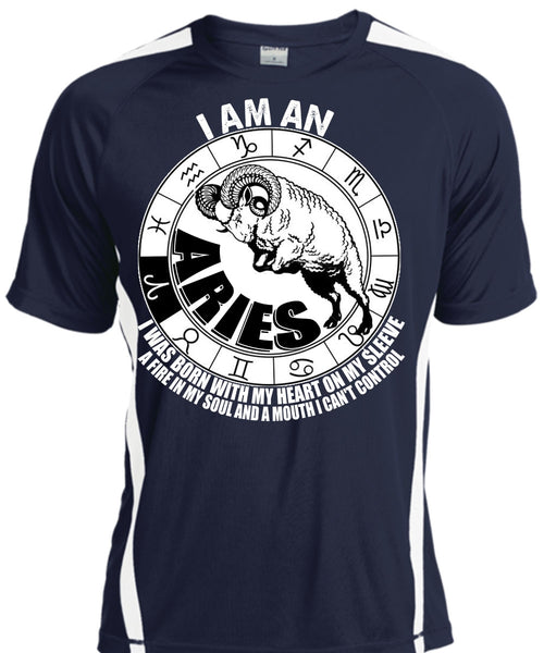 I Am An Aries T Shirt, Fire In My Soul T Shirt, Cool Shirt