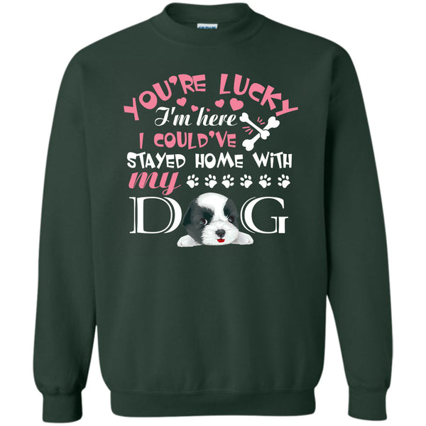 I Could've Stayed Home With My Dog T Shirt, I'm A Dog Lover Sweatshirt