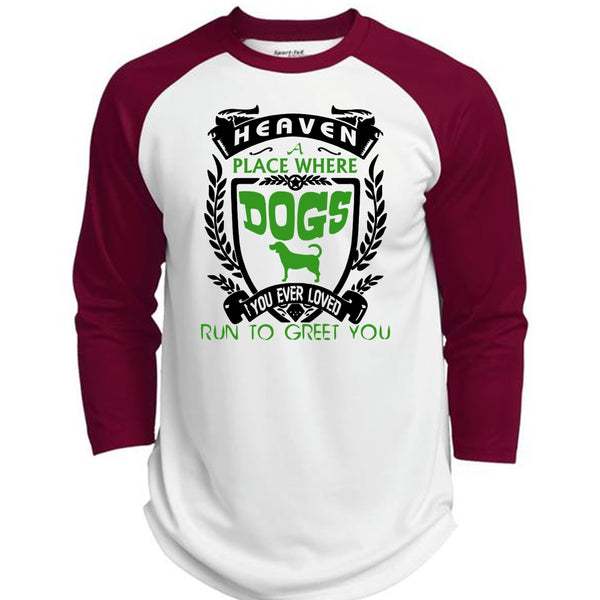 Heaven A Place Where Dogs T Shirt, You Ever Loved Run To Greet You T Shirt, Pets T Shirt  (Polyester Game Baseball Jersey)