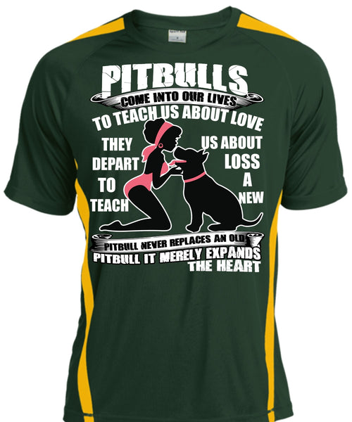 Pit Bulls Come Into Our Lives T Shirt, My Favorite T Shirt, Cool Shirt