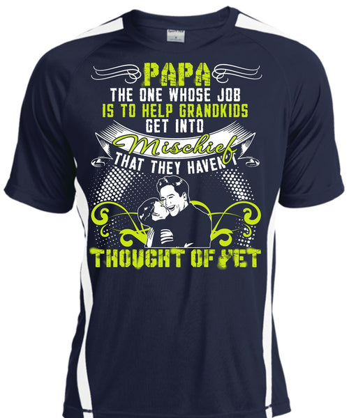 Papa The One T Shirt, Help Grandkids T Shirt, Cool Shirt
