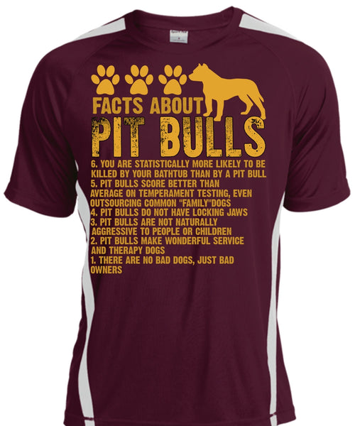 Facts About Pit Bulls T Shirt, There Are No Bad Dogs T Shirt, Cool Shirt