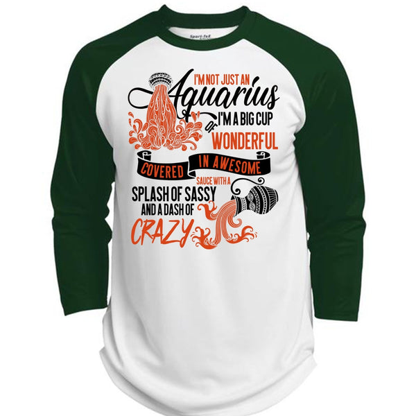 I'm Not Just An Aquarius T Shirt, I Love Aquarius T Shirt, Awesome T-Shirts  (Polyester Game Baseball Jersey)