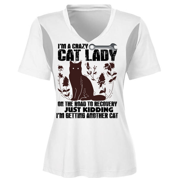 I'm A Crazy Cat Lady On The Road T Shirt, I Love My Cat T Shirt, Awesome T-Shirts