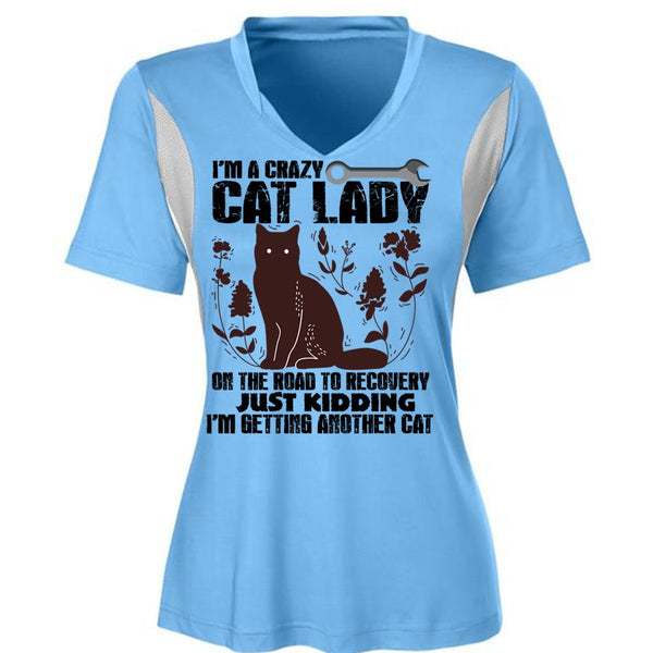 I'm A Crazy Cat Lady On The Road T Shirt, I Love My Cat T Shirt, Awesome T-Shirts