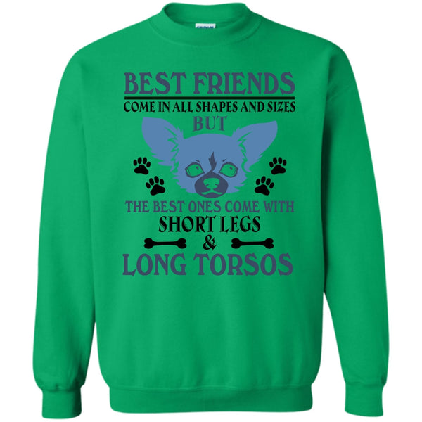 Coolest Dog T Shirt, Best Friends Come In All Shapes And Size Sweatshirt