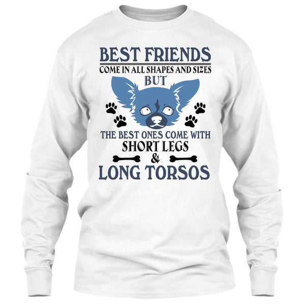 Best Friends Come In All Shapes And Size T Shirt, Coolest Dog T Shirt