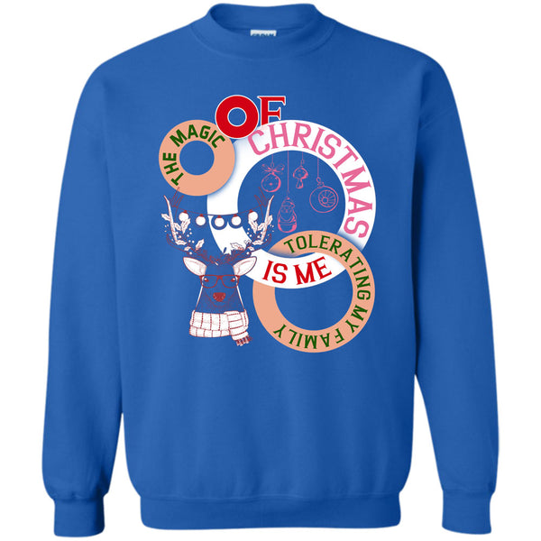 Tolerating My Family T Shirt, Coolest Merry Christmas Sweatshirt