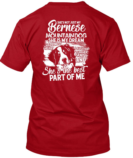 My Bernese Mountain Dog T Shirt, She Is My Dream T Shirt