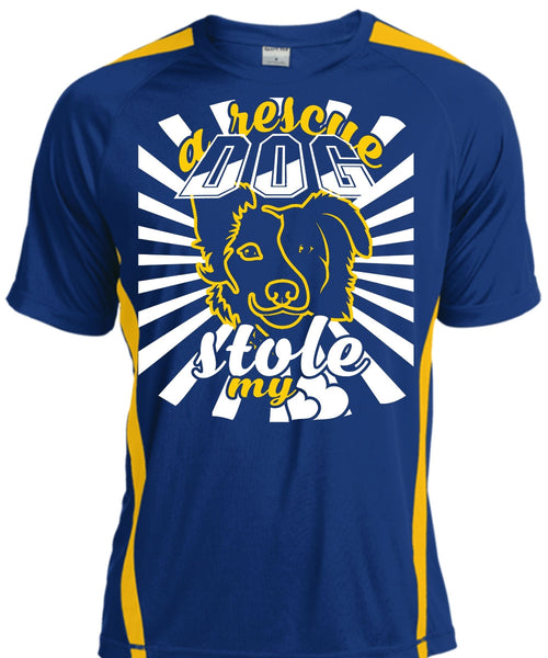 A Rescue Dog Stole My Heart T Shirt, Favorite T Shirt, I Love Dog T Shirt