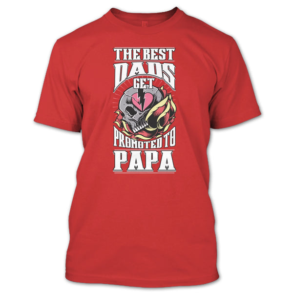 The Best Dad T Shirt, Get Promoted To Papa T Shirt